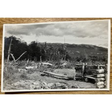 USHUAIA TIERRA DEL FUEGO ANTIGUA FOTO TIPO TARJETA POSTAL CIRCA 1965 LAGO ROCA